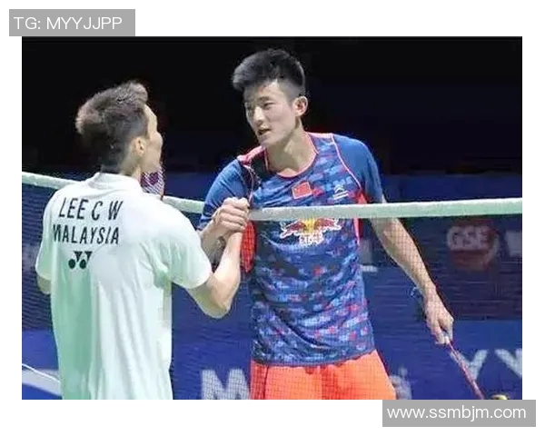 2017亚锦赛巅峰对决林丹与谌龙的传奇之战回顾与分析