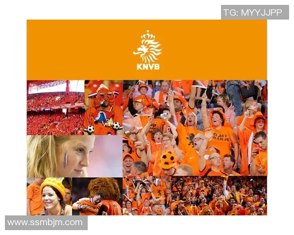 如何选择最佳投注方式分析巴西对荷兰比赛的投注策略