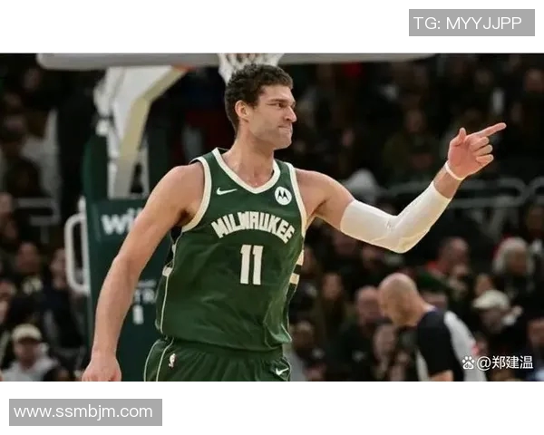 布鲁克洛佩斯：从篮筐之下到三分线外的全能大个子之路