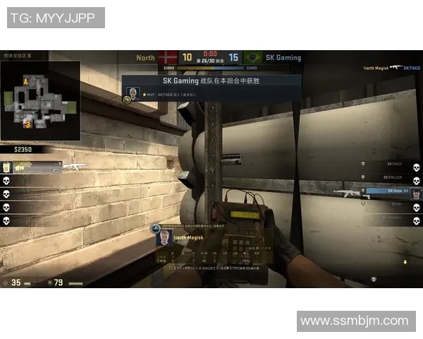 CSGO盛宴：深入解析BLG战队的默契配合与战术策略