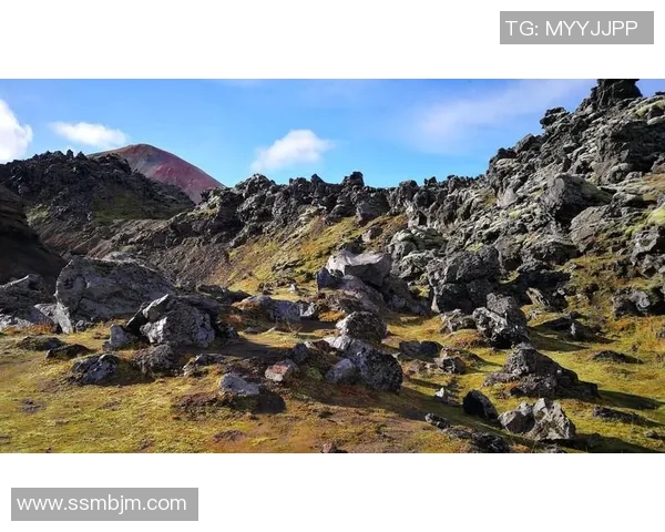 雷克雅未克与特马卡比的精彩对决揭示足球战术与团队合作的魅力