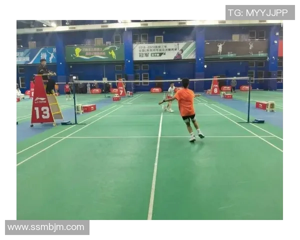 武汉羽毛球队运营策略深度分析与发展前景探讨